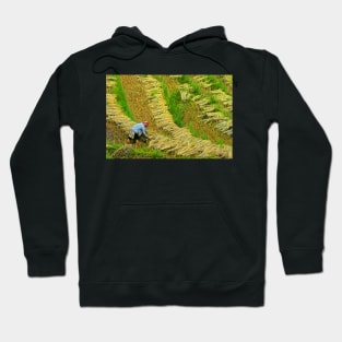 Rice Terrace5. Hoodie